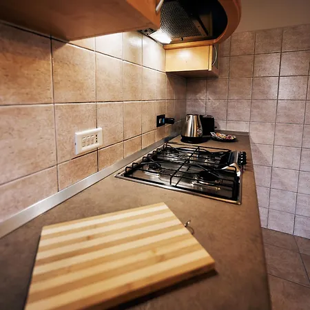 Apartment Spacious Vintage Style